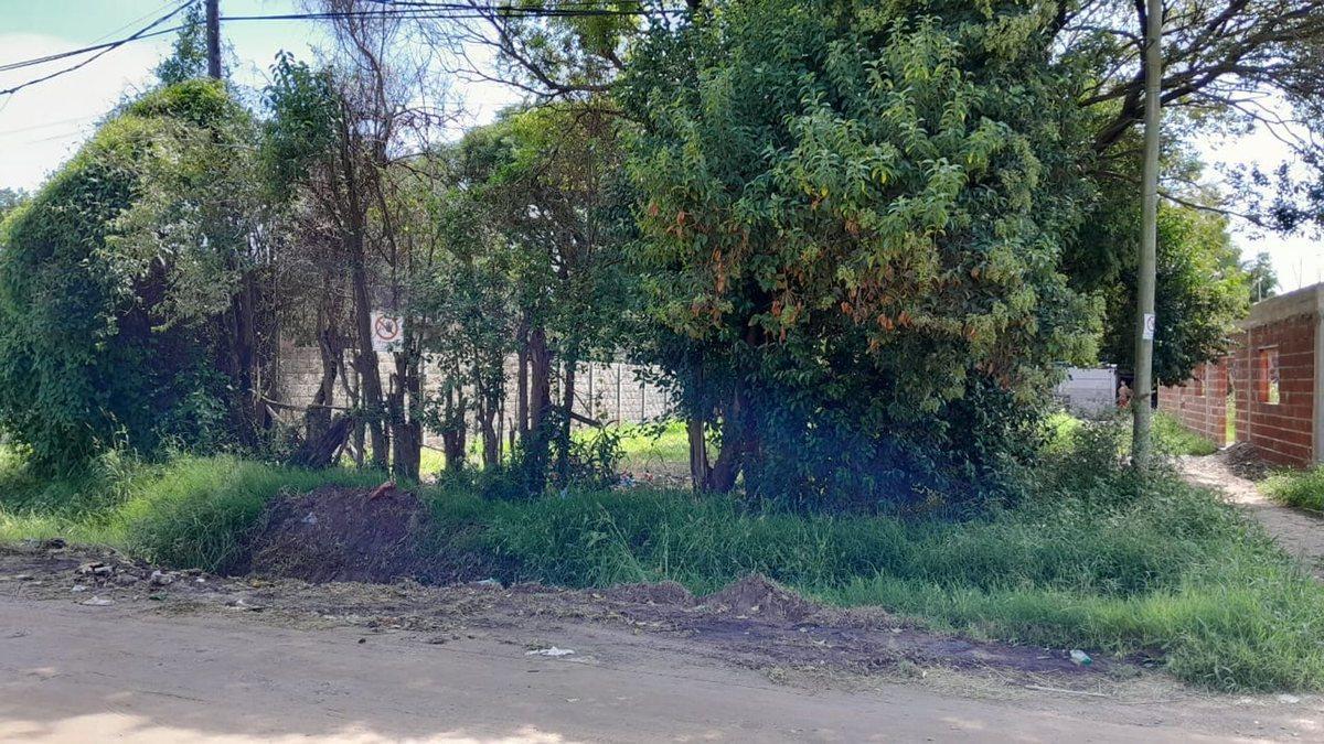 Foto de VENTA Terreno en Sauce Viejo de 395m2, imagen 1
