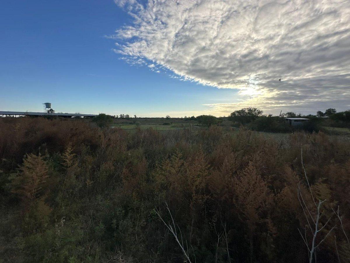 Foto de HECTAREAS A METROS DE RUTA 19 KM 4,5, imagen 1
