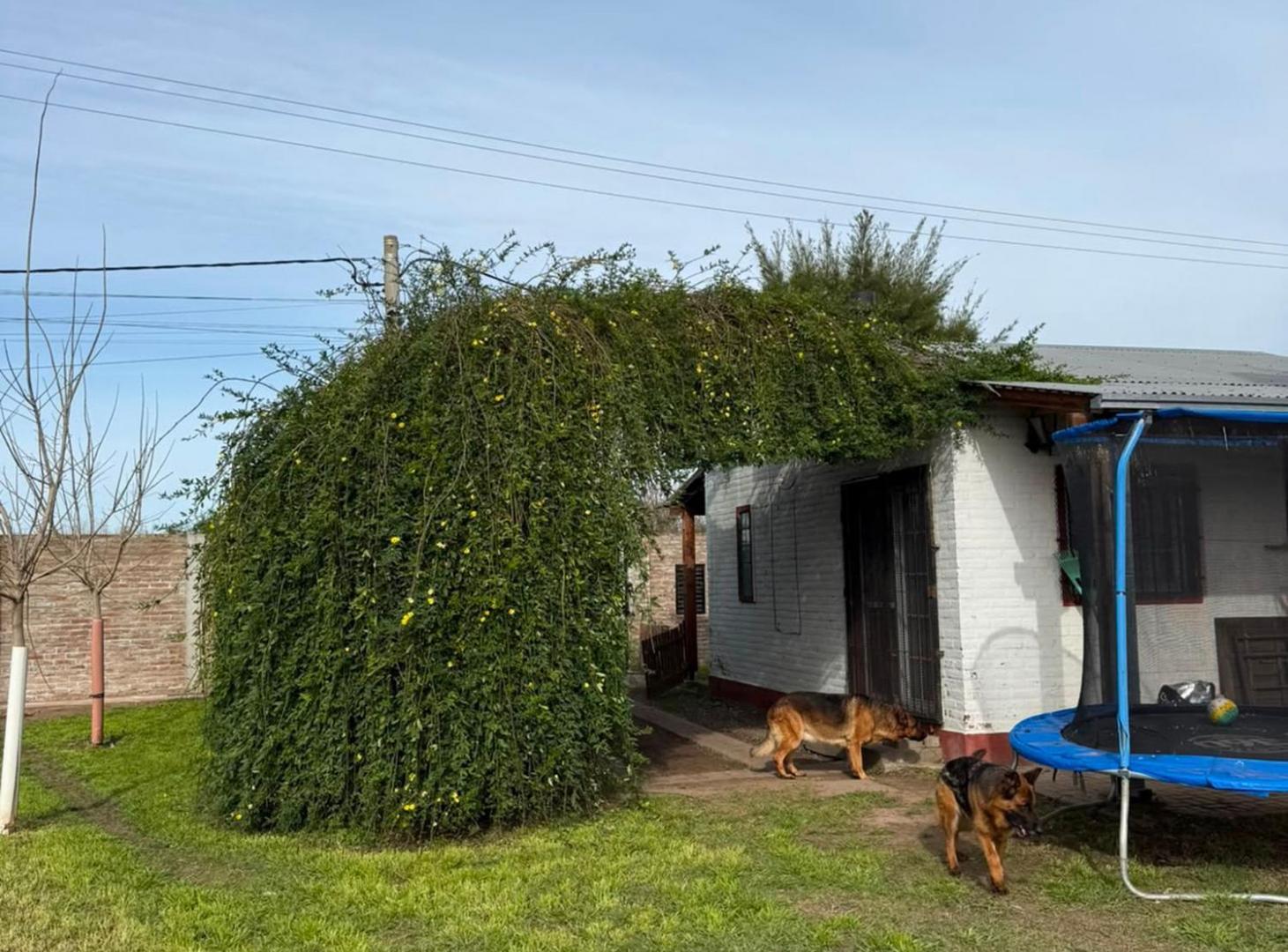 Foto de QUINTA EN SAUCE VIEJO, imagen 1