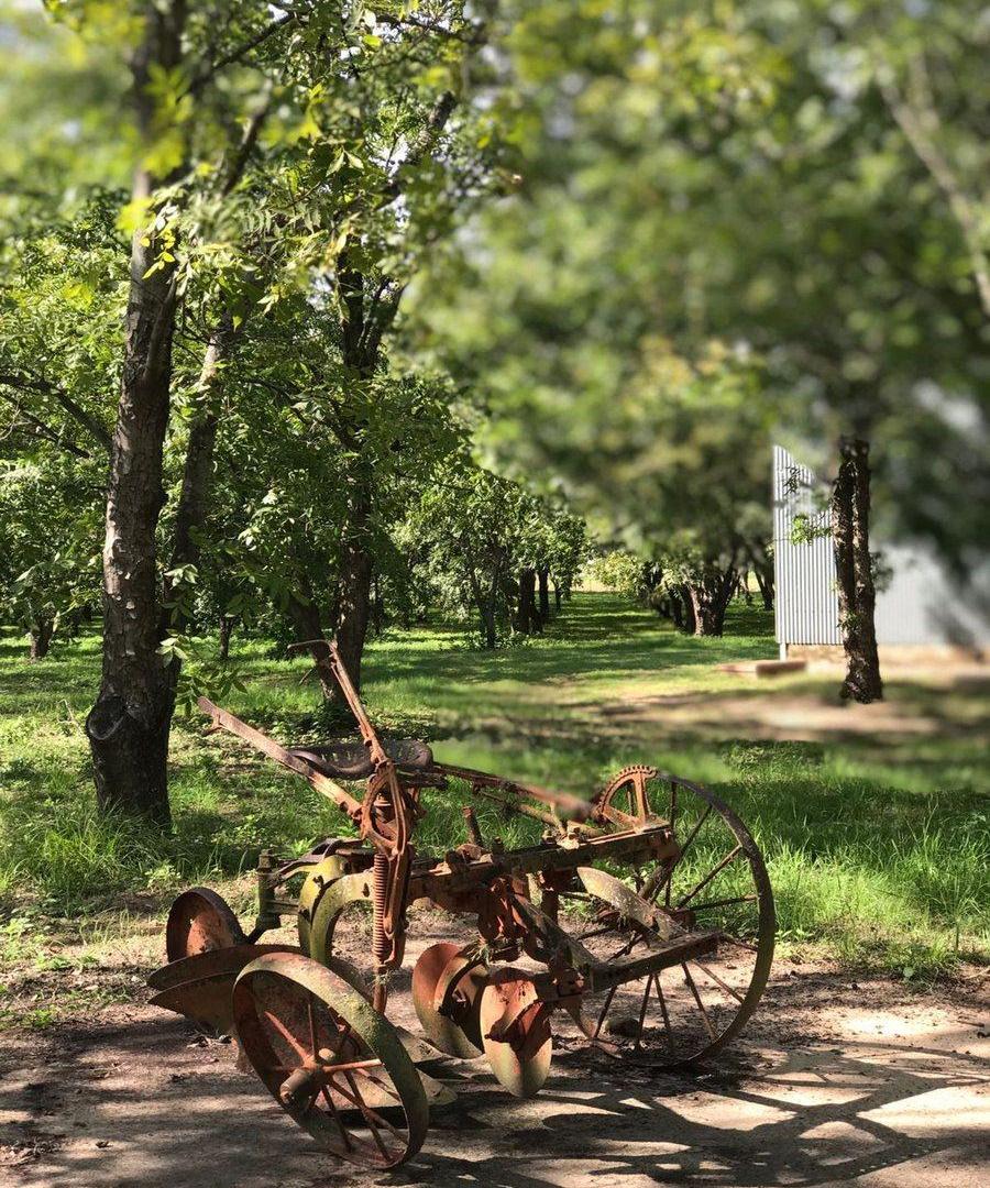 Foto de Campo a la venta en Santa Rosa de Calchines, imagen 1
