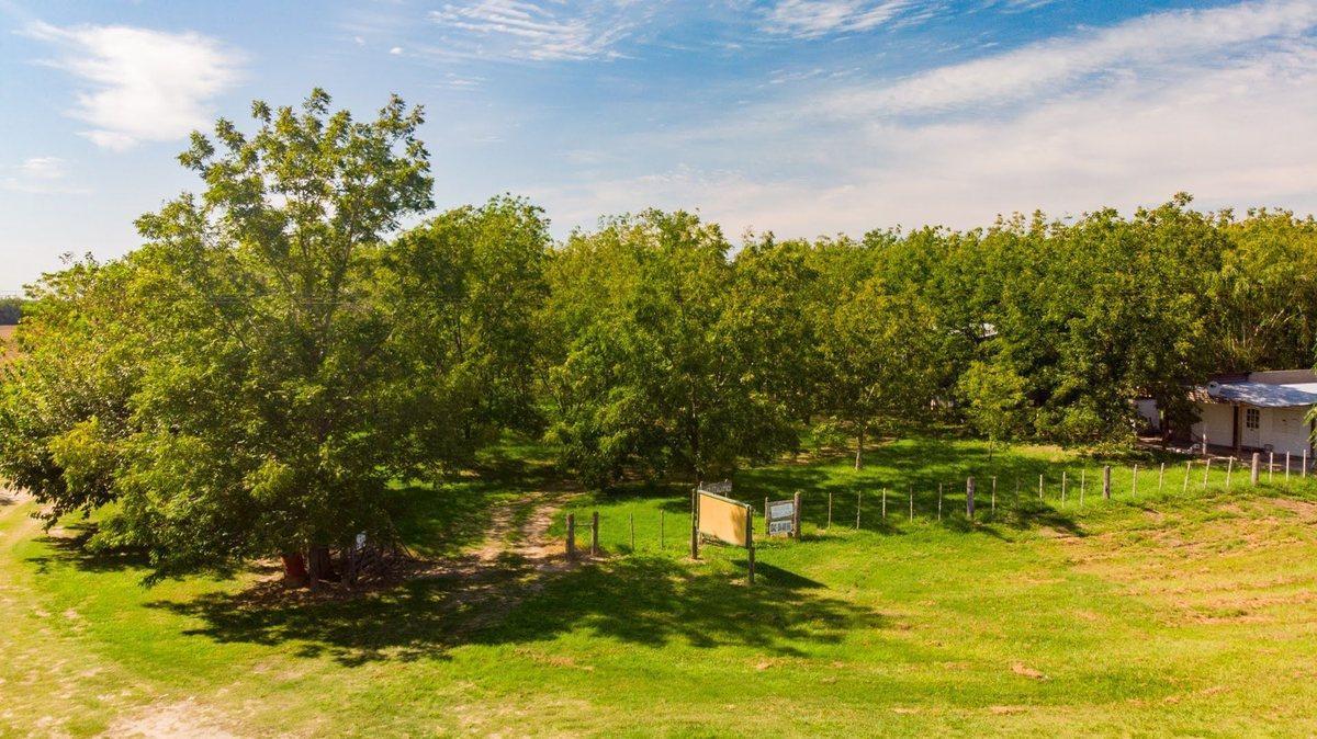 Foto de Campo a la venta en Santa Rosa de Calchines, imagen 4