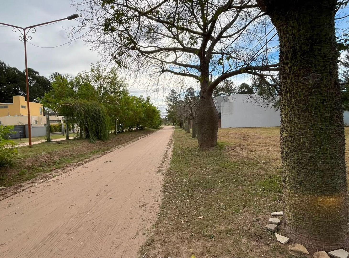 Foto de Lote en venta – Colastiné, Santa Fe, imagen 1