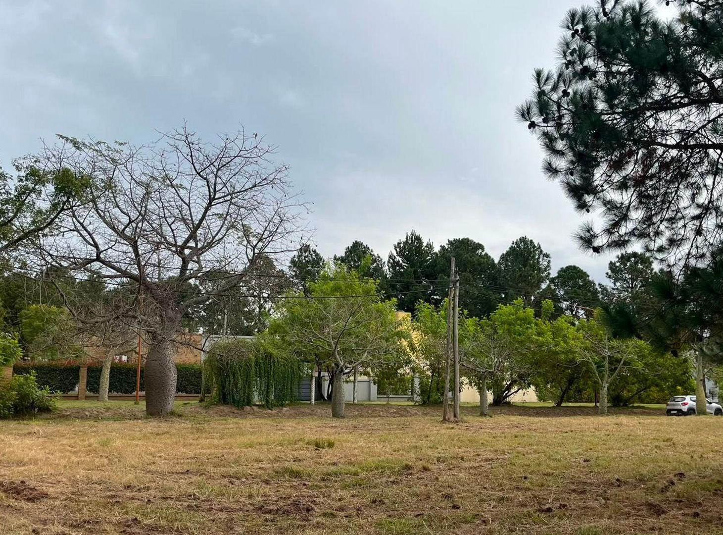 Foto de Lote en venta – Colastiné, Santa Fe, imagen 4