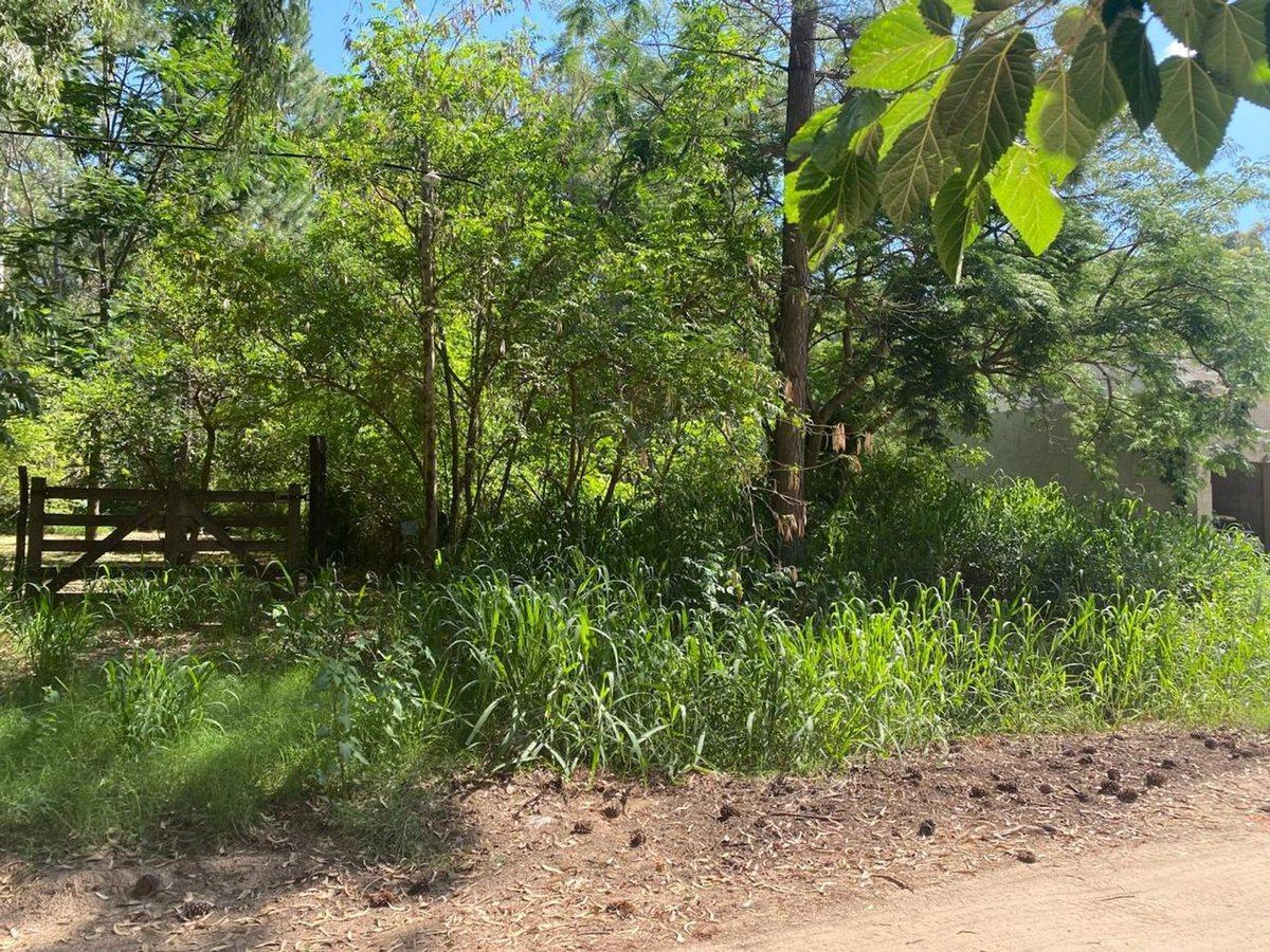 Foto de Lote de 627 m2 en Rincón, km 10, imagen 4