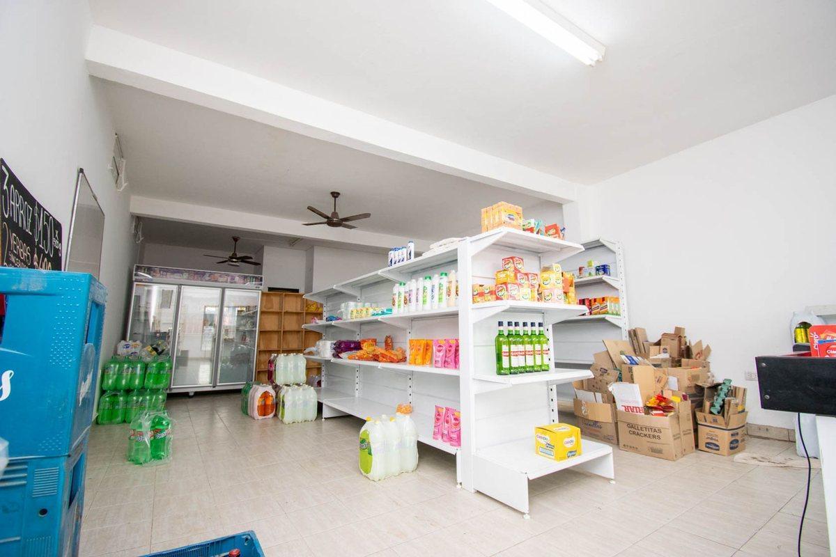 Foto de LOCAL COMERCIAL CON GALPON Y GRAN PATIO VERDE, imagen 2