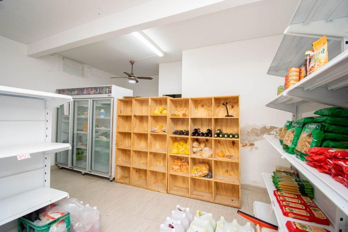 Foto de LOCAL COMERCIAL CON GALPON Y GRAN PATIO VERDE, imagen 3