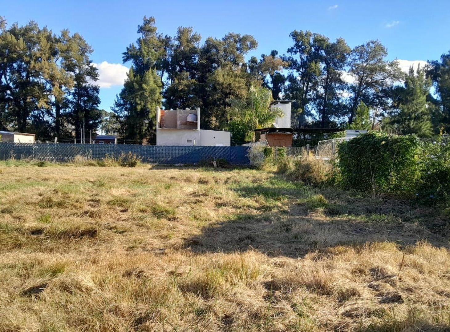 Foto de Terreno en Leyes, imagen 3