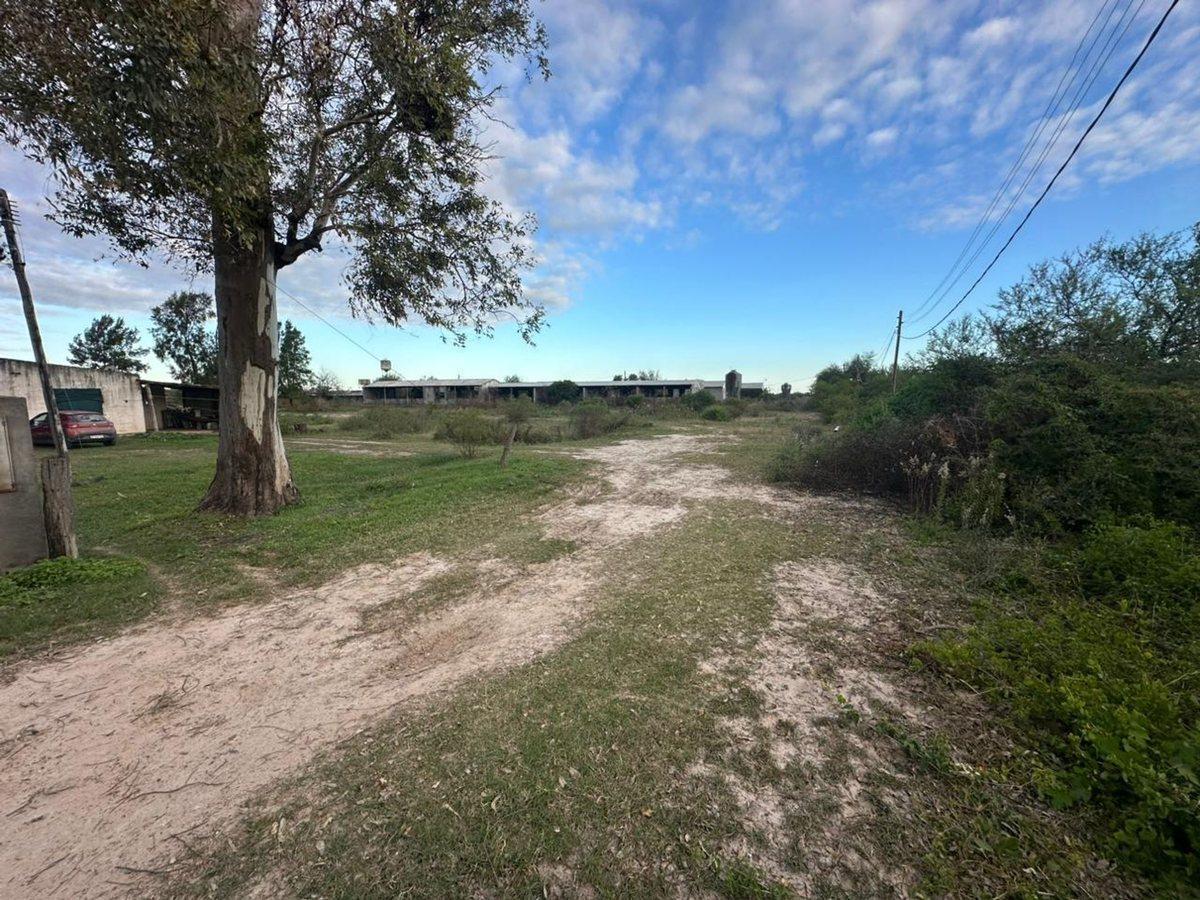 Foto de HECTAREAS A METROS DE RUTA 19 KM 4,5, imagen 1