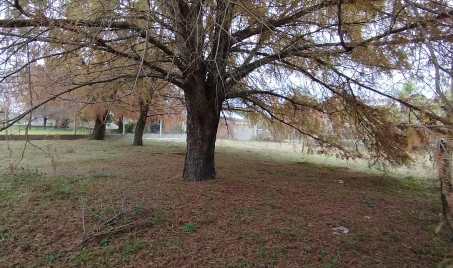 Foto de REMAX VENDE LOTE EN RINCON, imagen 5