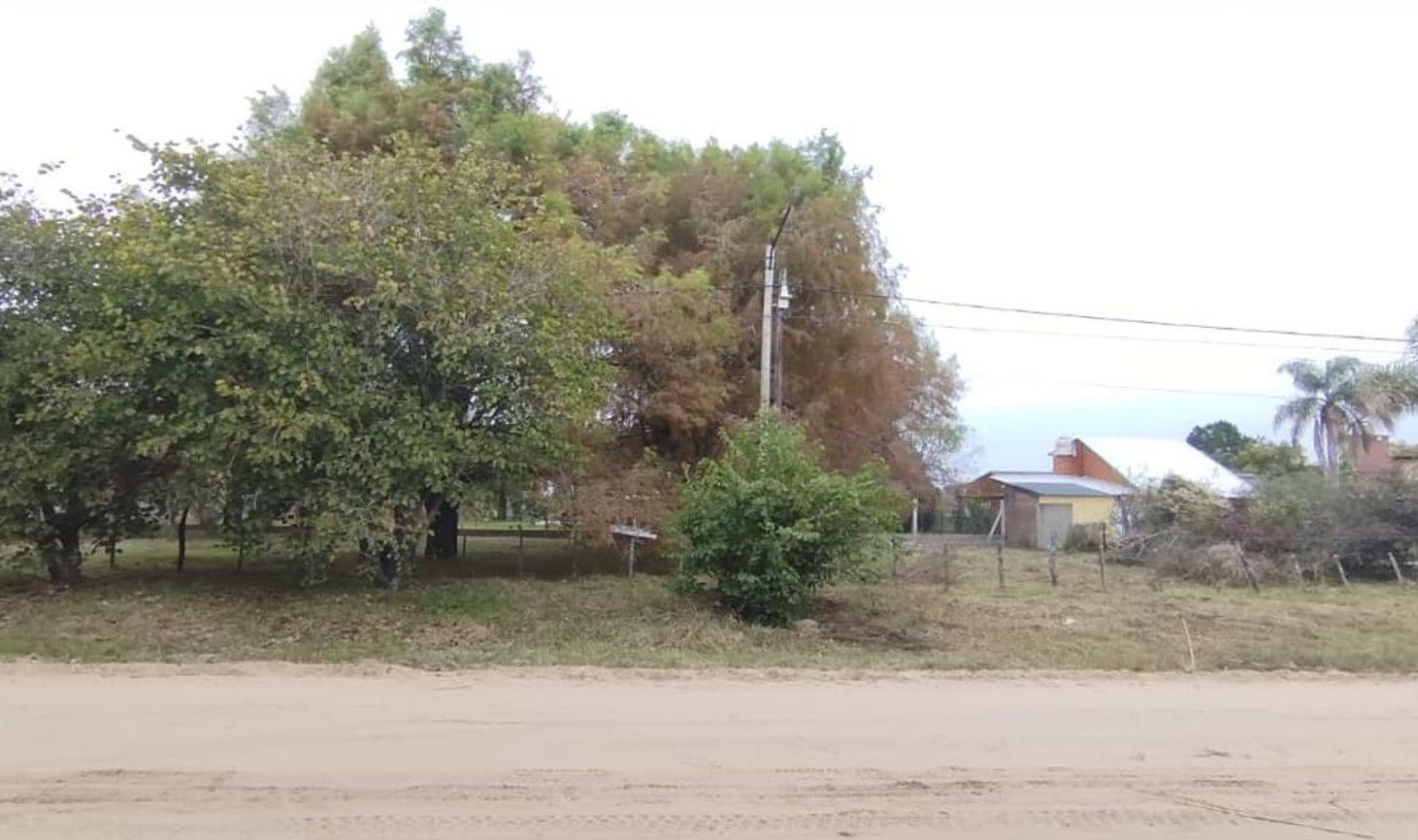 Foto de REMAX VENDE LOTE EN RINCON, imagen 3