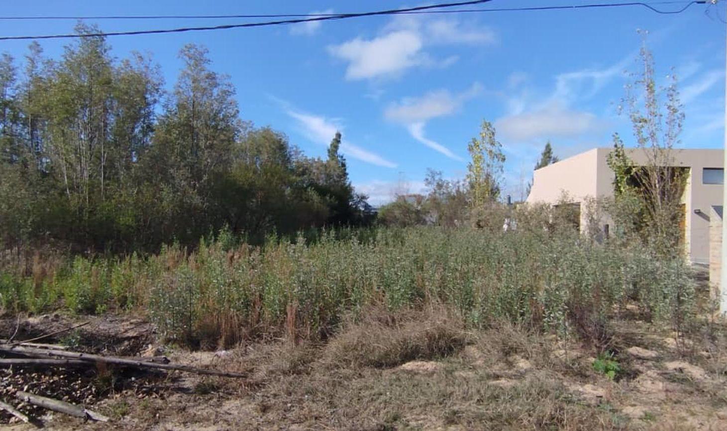Foto de lote en ruta 1, imagen 2
