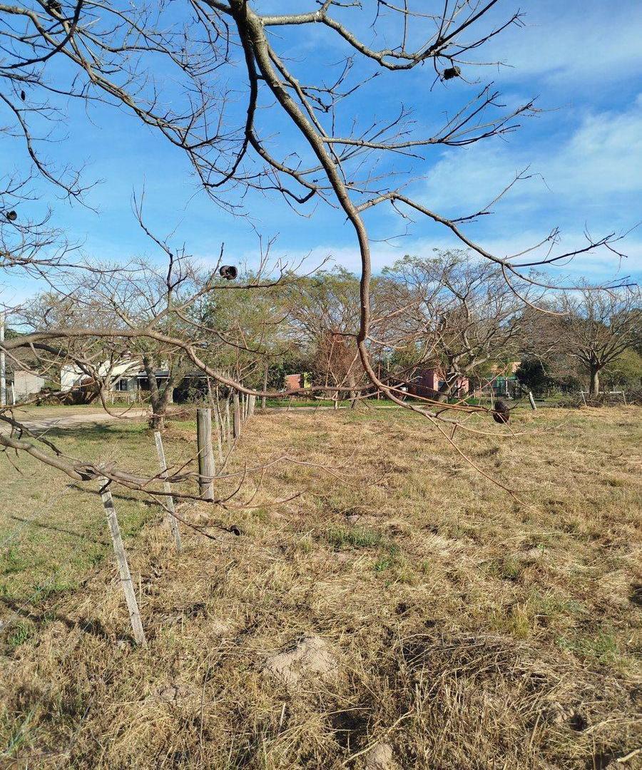 Foto de Venta | Terreno en Arroyo Leyes – Santa Fe, imagen 2