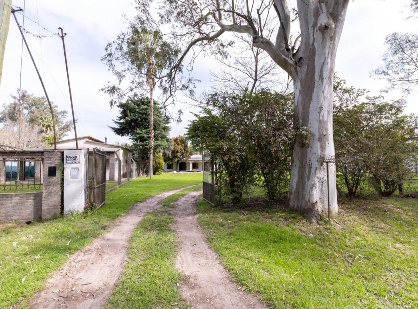 Foto de VENTA CASA QUINTA EN SAUCE VIEJO, imagen 3