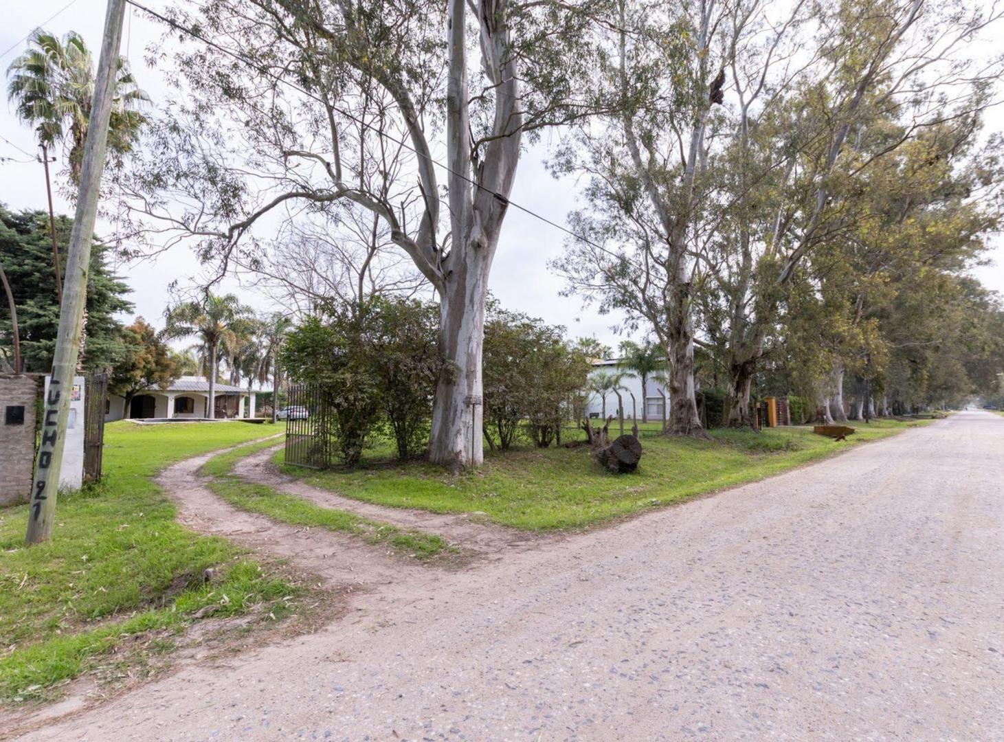 Foto de VENTA CASA QUINTA EN SAUCE VIEJO, imagen 2
