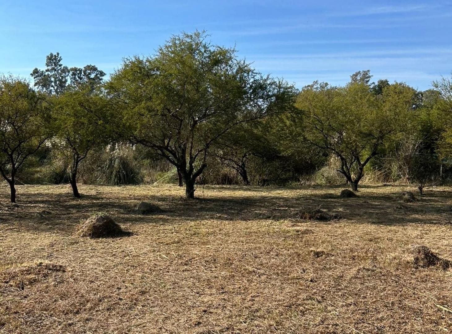 Foto de TERRENO EN VENTA VILLA CALIFORNIA SANTA FE, imagen 2