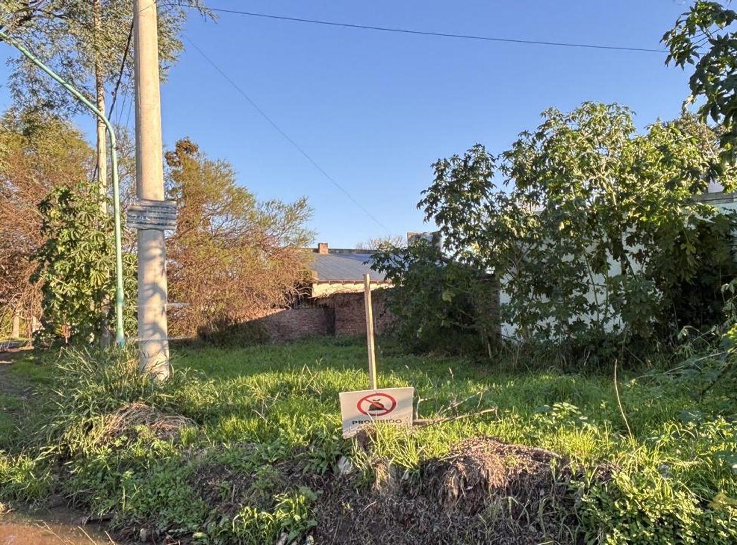 Foto de TERRENO EN SANTO TOME, ADELINA ESTE DE 203m², imagen 1