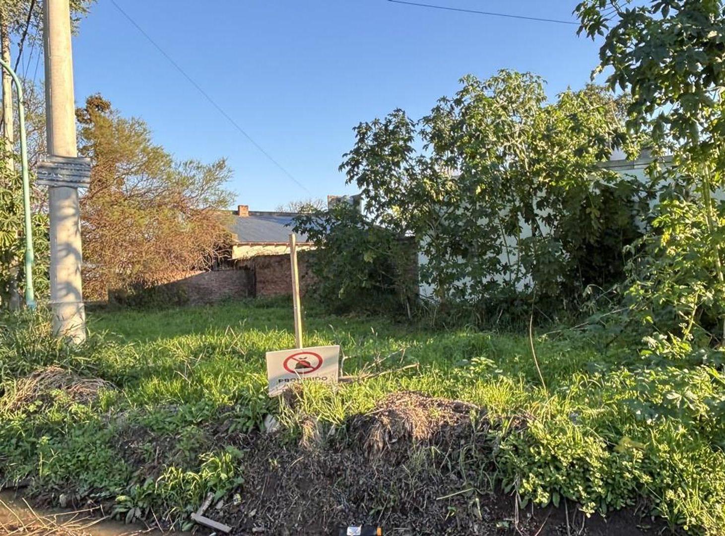 Foto de TERRENO EN SANTO TOME, ADELINA ESTE DE 203m², imagen 2
