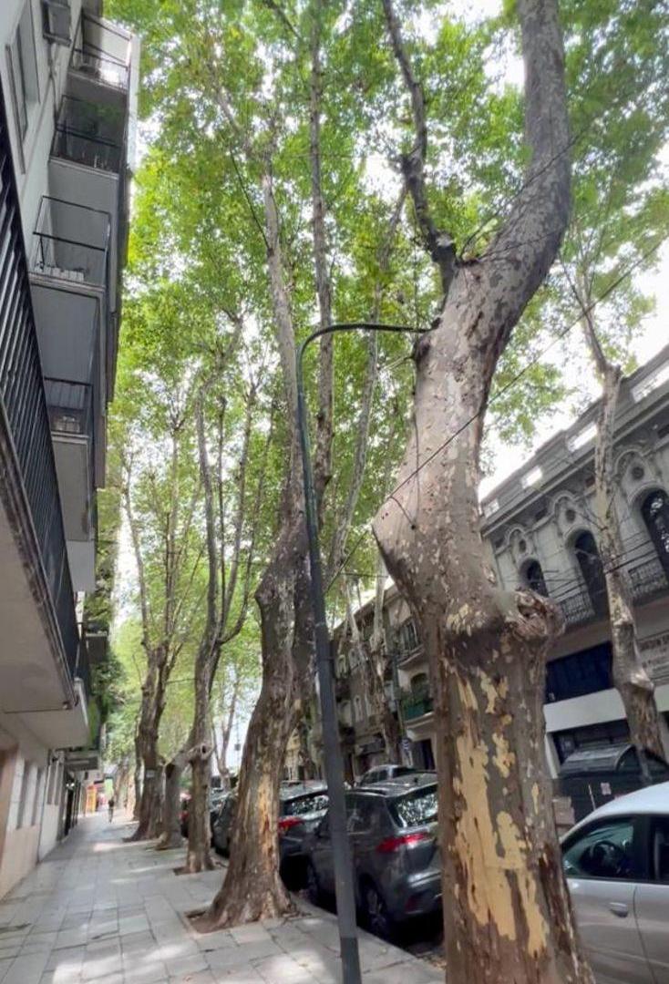 Cuba 2200 y Mendoza Lote 8,66 X 32,20 Código Nuevo 1534 M²