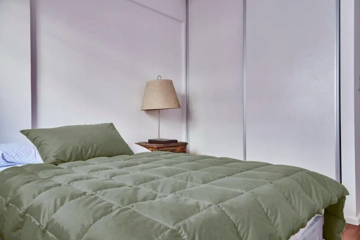 Cervi Vende | 2 Ambientes Balcón Parrilla Propia · Pileta · Sauna · Gym | Belgrano/núñez 4