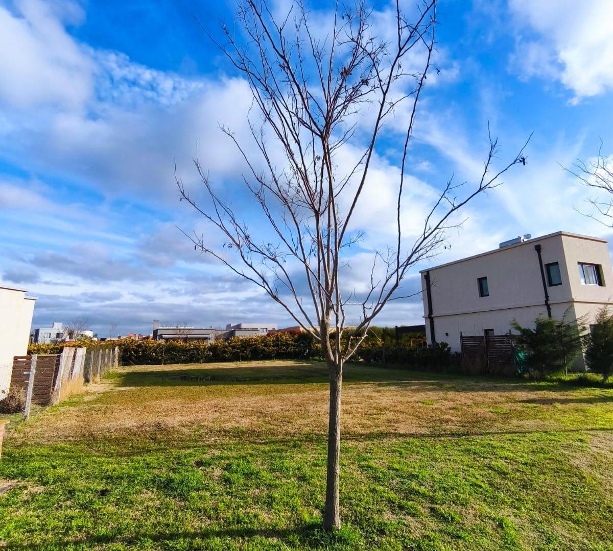 Venta lote en Santa Emilia Pilar