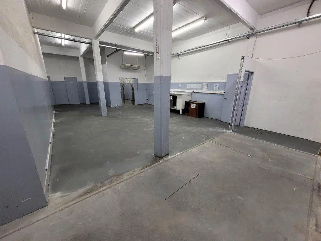 HERMOSA OFICINA 300M2 TOTALES CON ENTRADA PARA VEHICULO.!!! 5