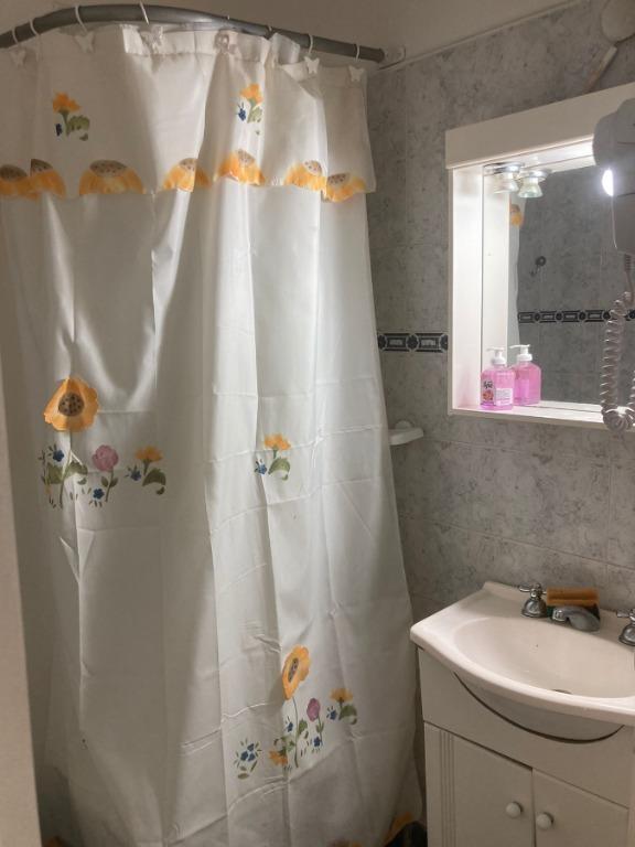 Foto de DEPARTAMENTO 1 AMBIENTE EN VENTA MAR DEL PLATA, imagen 2