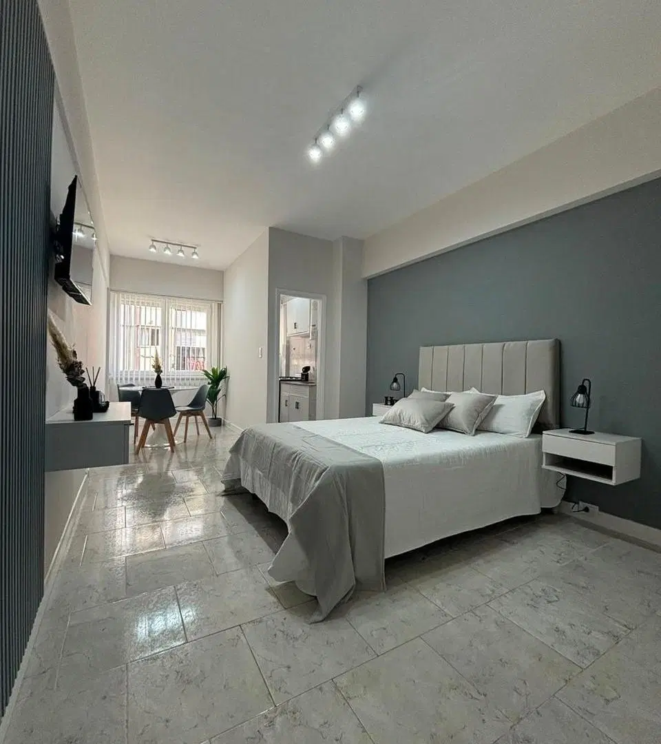 DEPARTAMENTO 1 AMBIENTE EN VENTA MAR DEL PLATA 8