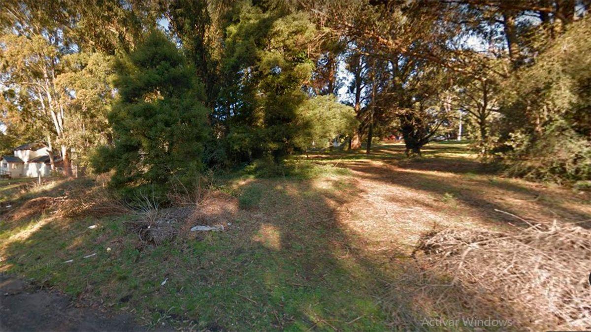 Foto de TERRENO EN VENTA SIERRA DE LOS PADRES, imagen 1