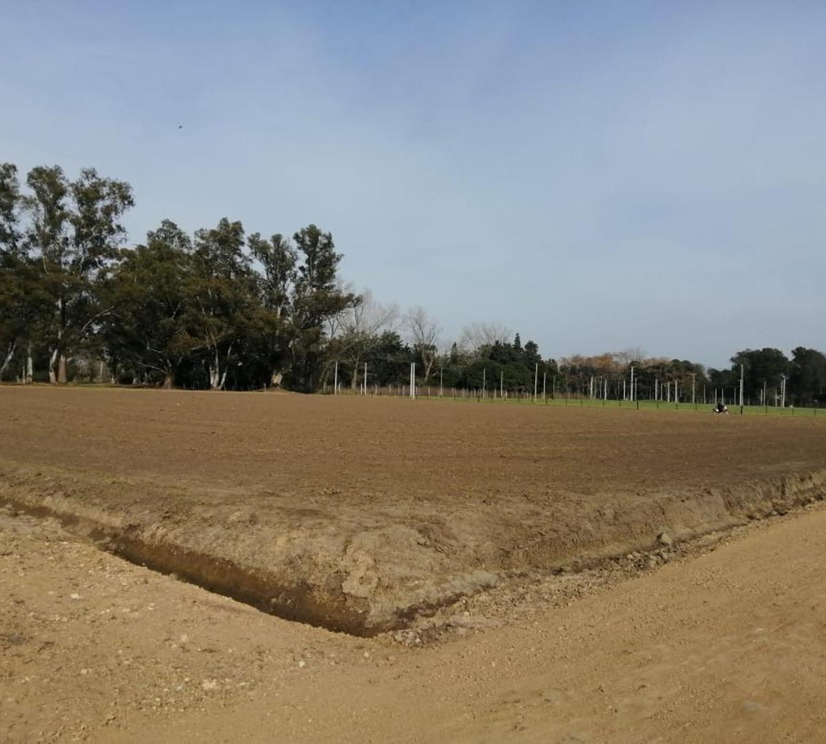 Exc Lotes en Barrio Las Perdices - 400 a 600 m² - Lobos 4