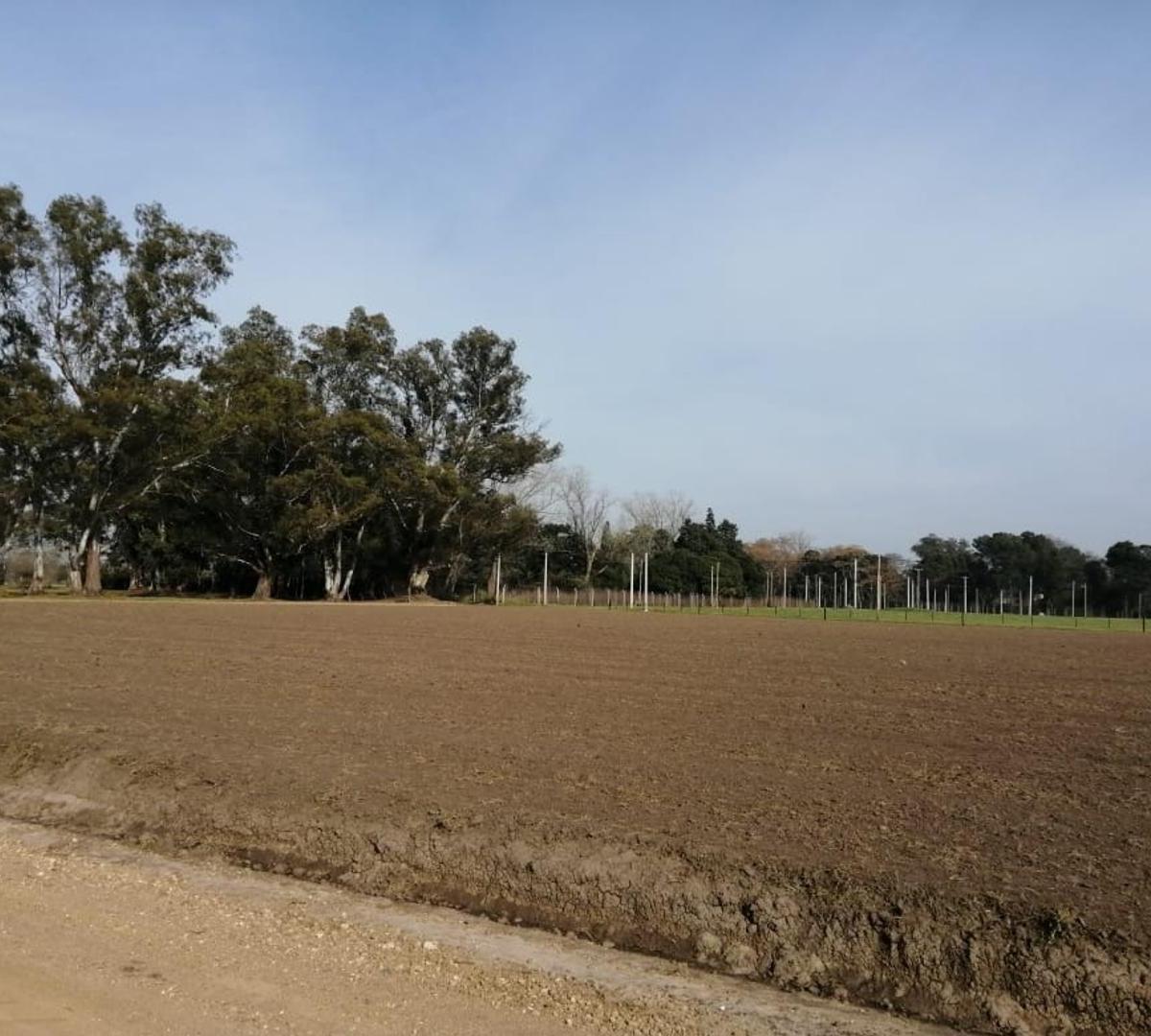 Exc Lotes en Barrio Las Perdices - 400 a 600 m² - Lobos 1