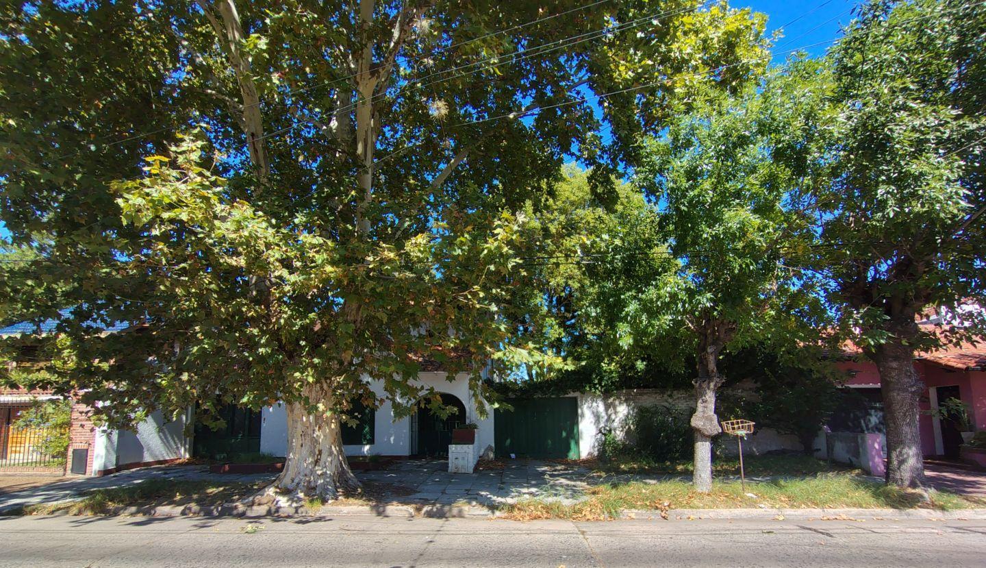 Foto de VENTA DE CASA EN OLIVOS, imagen 2