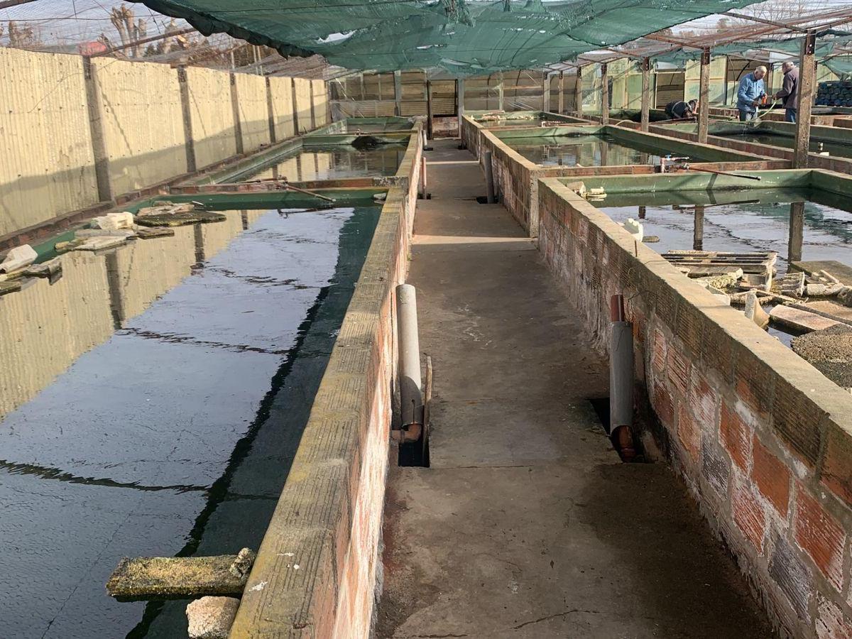 Foto de OPORTUNIDAD Campo en Venta en Cañuelas, imagen 5