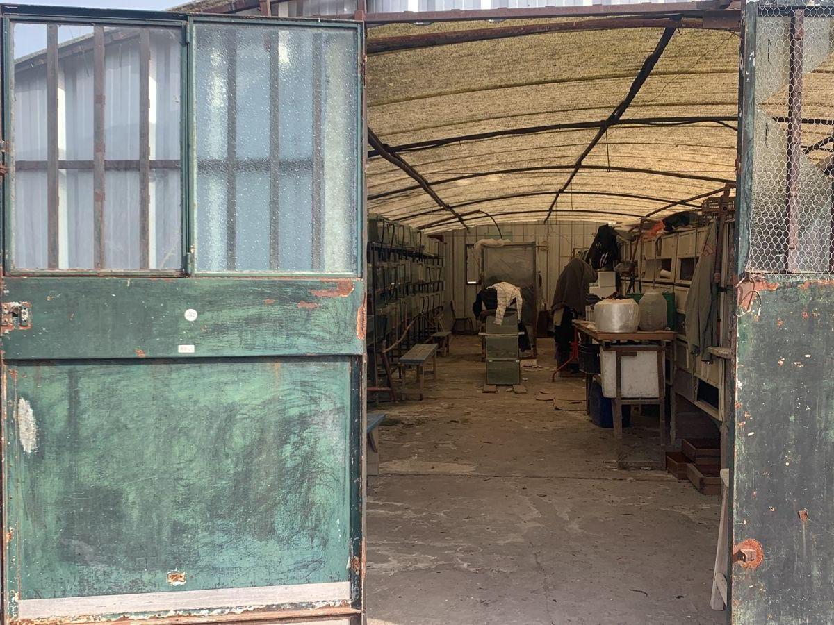 Foto de OPORTUNIDAD Campo en Venta en Cañuelas, imagen 2