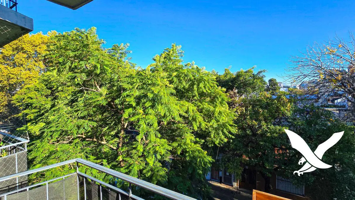 COLEGIALES – MONOAMBIENTE AL FRENTE CON BALCÓN – MUY LUMINOSO – EXCELENTE UBICACIÓN 3