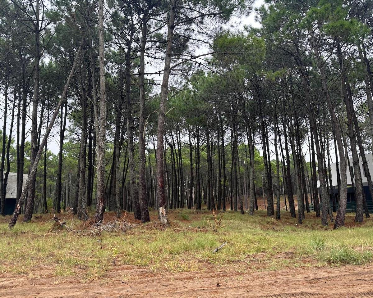 Foto de Cod 372 – Lote Villa Robles, imagen 2