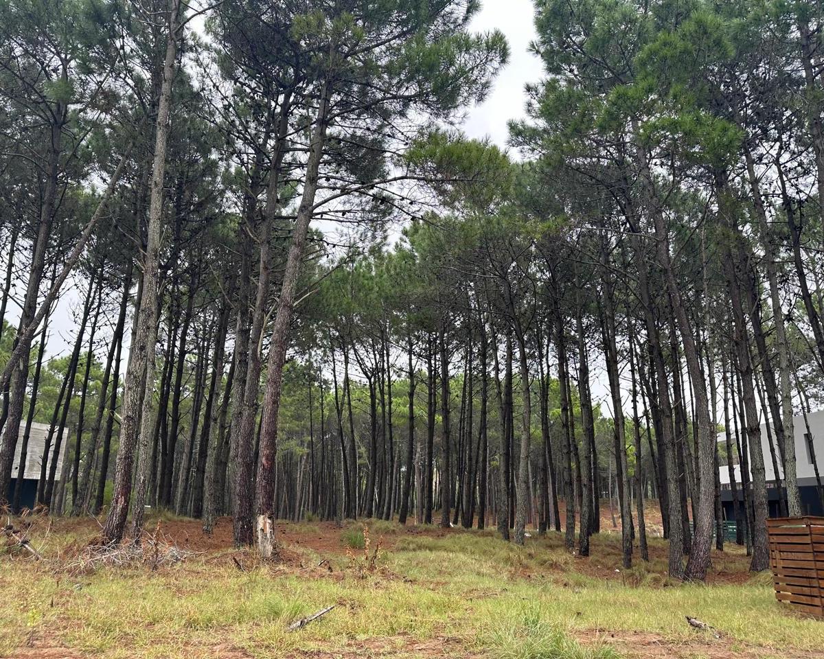 Cod 372 – Lote Villa Robles 4