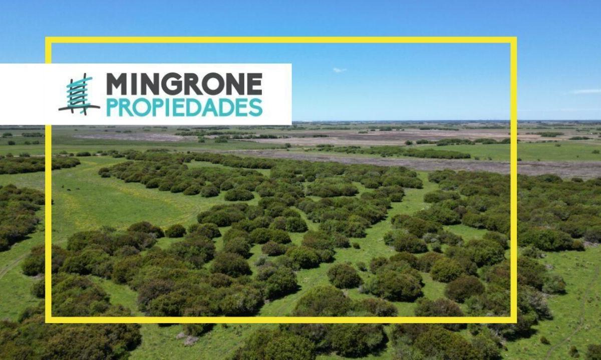 Foto de Cod. 135 – Campo En GRAL. MADARIGADA 40h, imagen 1