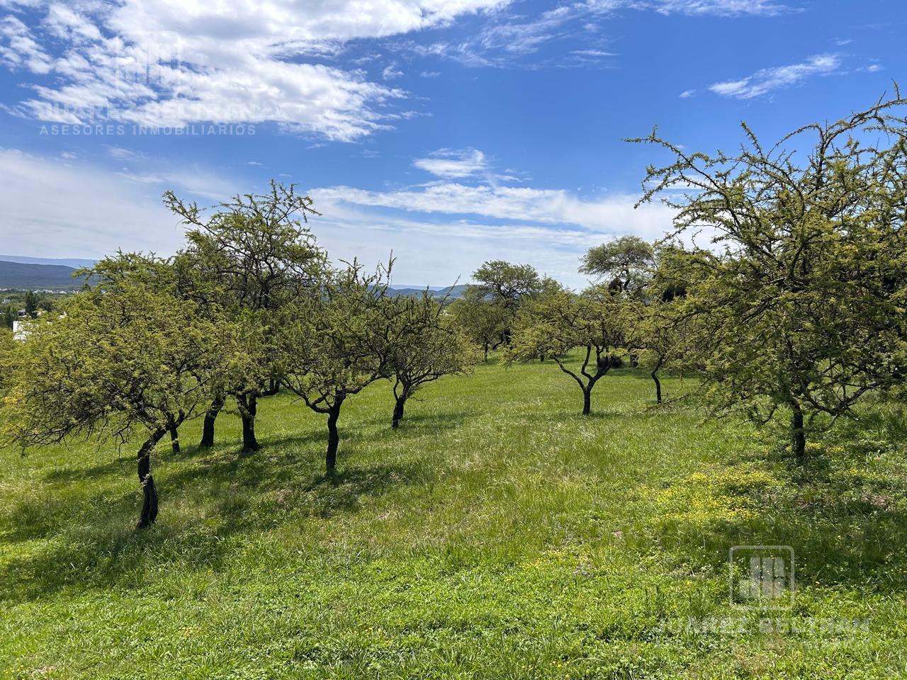 Foto de VENTA – LOTE 2137 m2 – CAUSANA, imagen 5
