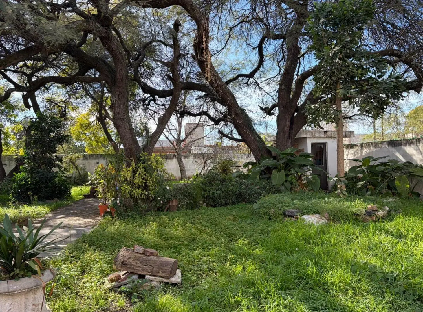 Venta Terreno-Av.Donato Alvarez Esquina Yafú 4