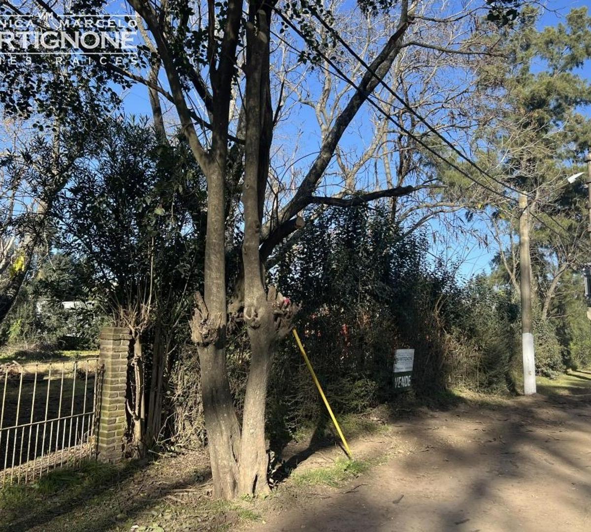 Terreno sobre asfalto en Manzanares - Pilar