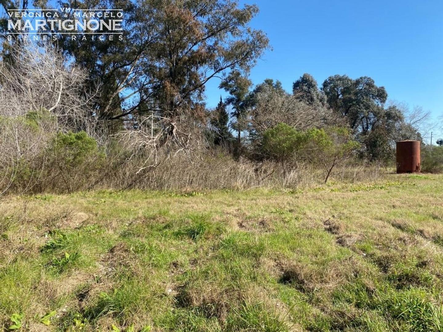 Foto de Manzanares Pilar - 1 ha con arboles, imagen 3