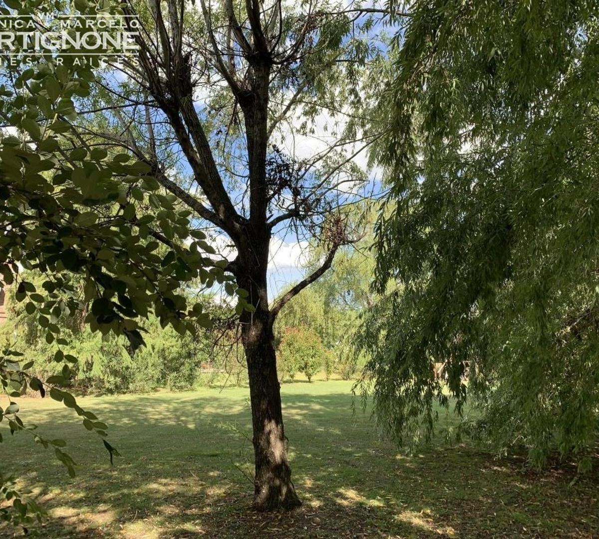 Foto de Terreno venta CLUB DE CAMPO SAN FRANCISCO Manzanares Pilar, imagen 5