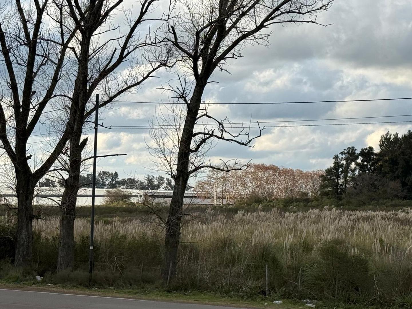 Foto de 5 Has. Industriales en venta sobre colectora Autovía, Ruta 8, imagen 5