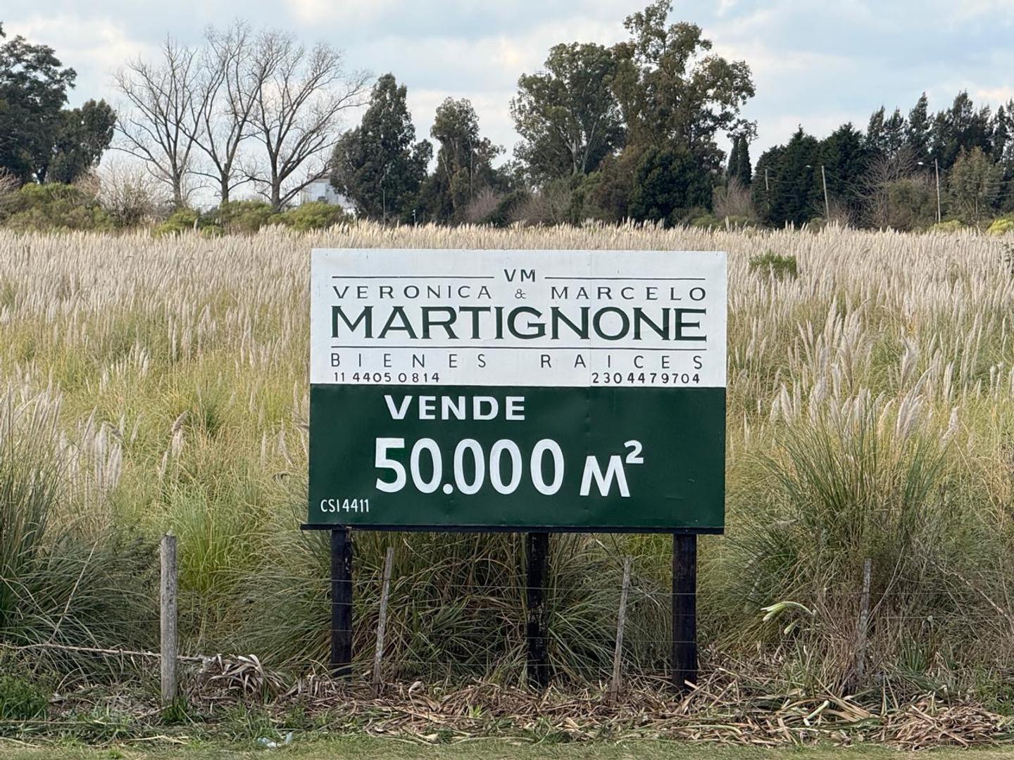 Foto de 5 Has. Industriales en venta sobre colectora Autovía, Ruta 8, imagen 4
