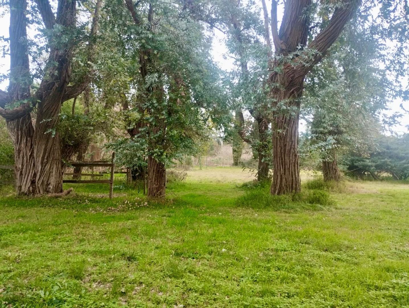 Foto de 6900m2 casa - quincho - pileta de natación en Manzanares, imagen 2