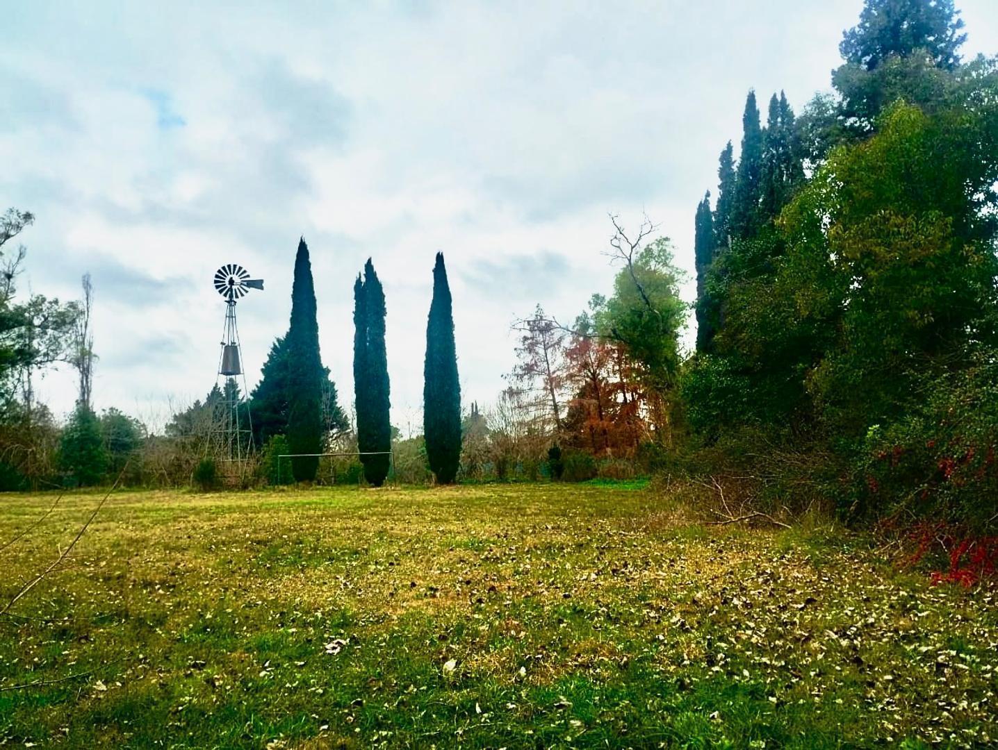 Foto de 6900m2 casa - quincho - pileta de natación en Manzanares, imagen 4
