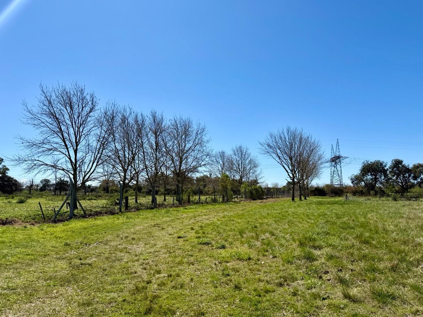 Foto de OPORTUNIDAD TERRENO VENTA 20.000USD LA RANITA, imagen 4