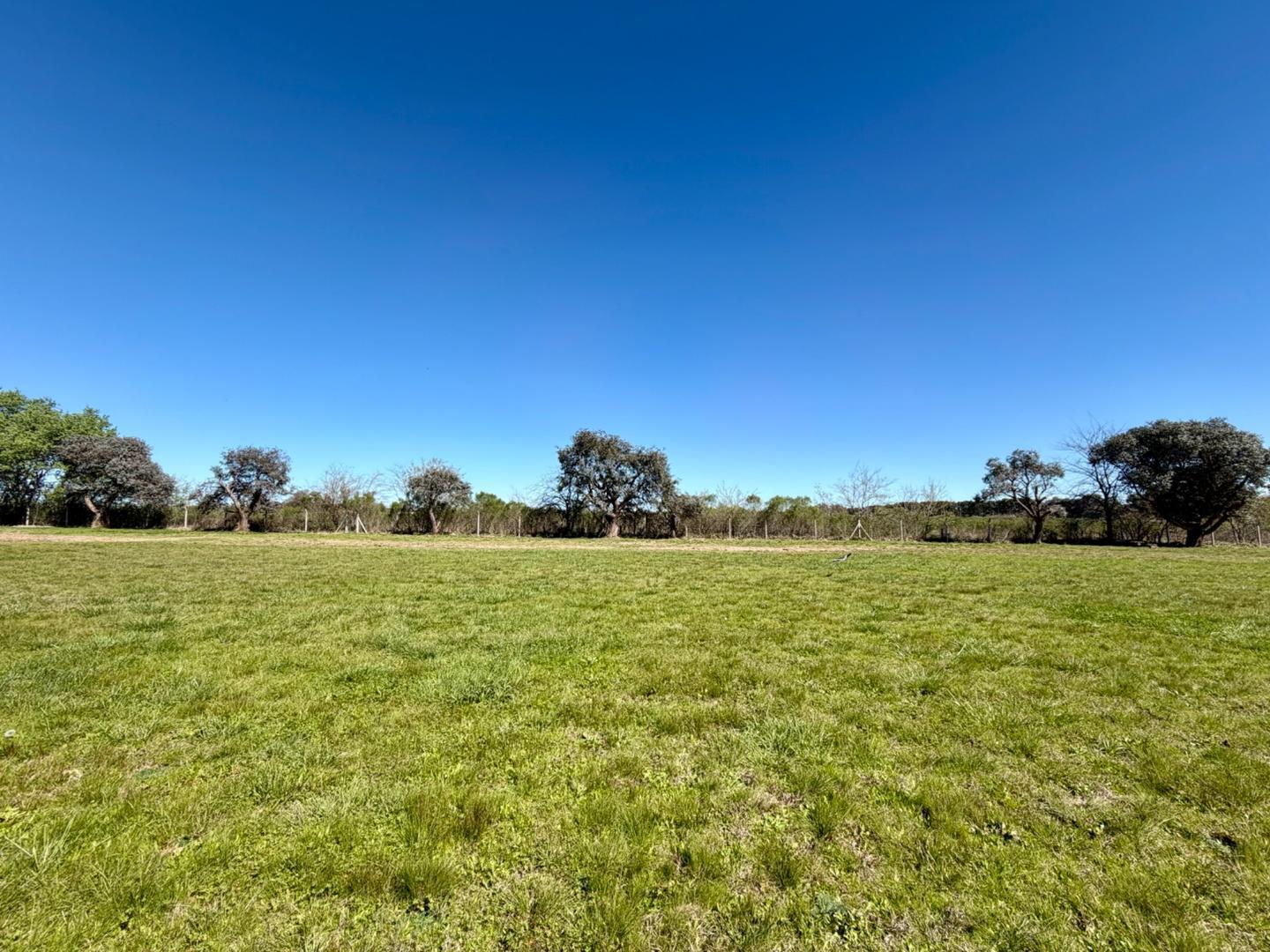 Foto de OPORTUNIDAD terreno 3100m2 perimetral La Ranita 20.000usd, imagen 2