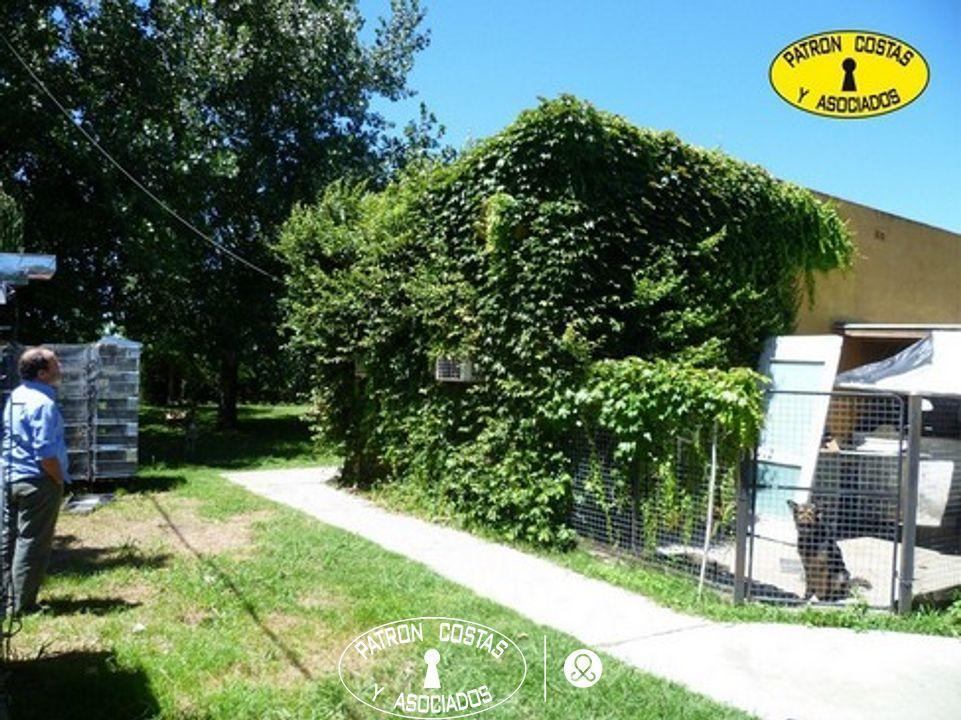 Foto de 12 HAS CASA-GALPON HABIL. CRIADERO, imagen 2