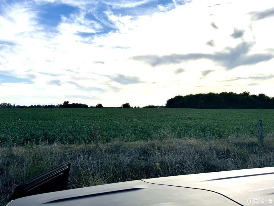 Campo en venta en Villa Ruiz 15 hectareas 2